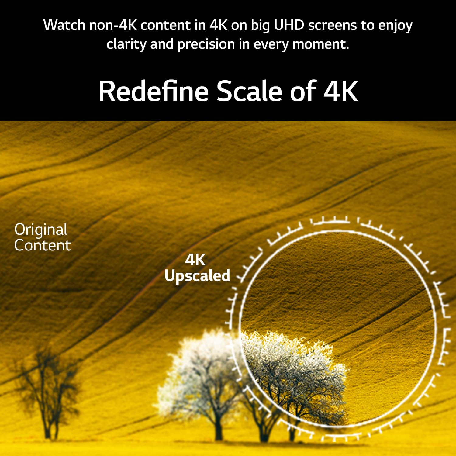LG 50UR75006LC 50 Inch UR75 Series 4K Ultra HD Smart LED TV - Image 12