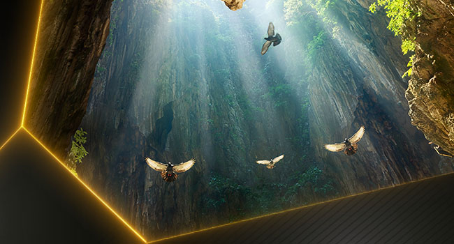 Dolby Vision