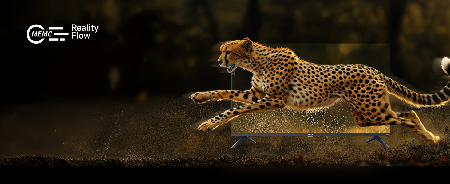 TV Feature 6