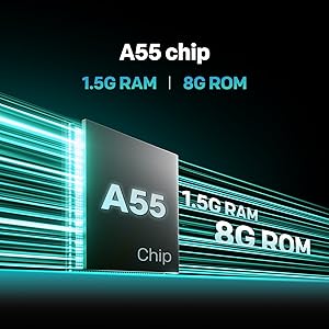 A55 Chip