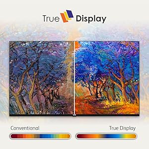 True Display TV