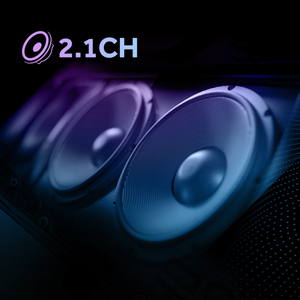 2.1 CH Audio