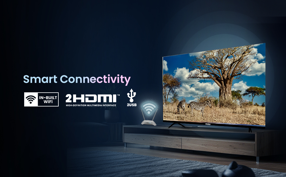 Haier Smart TV Connectivity