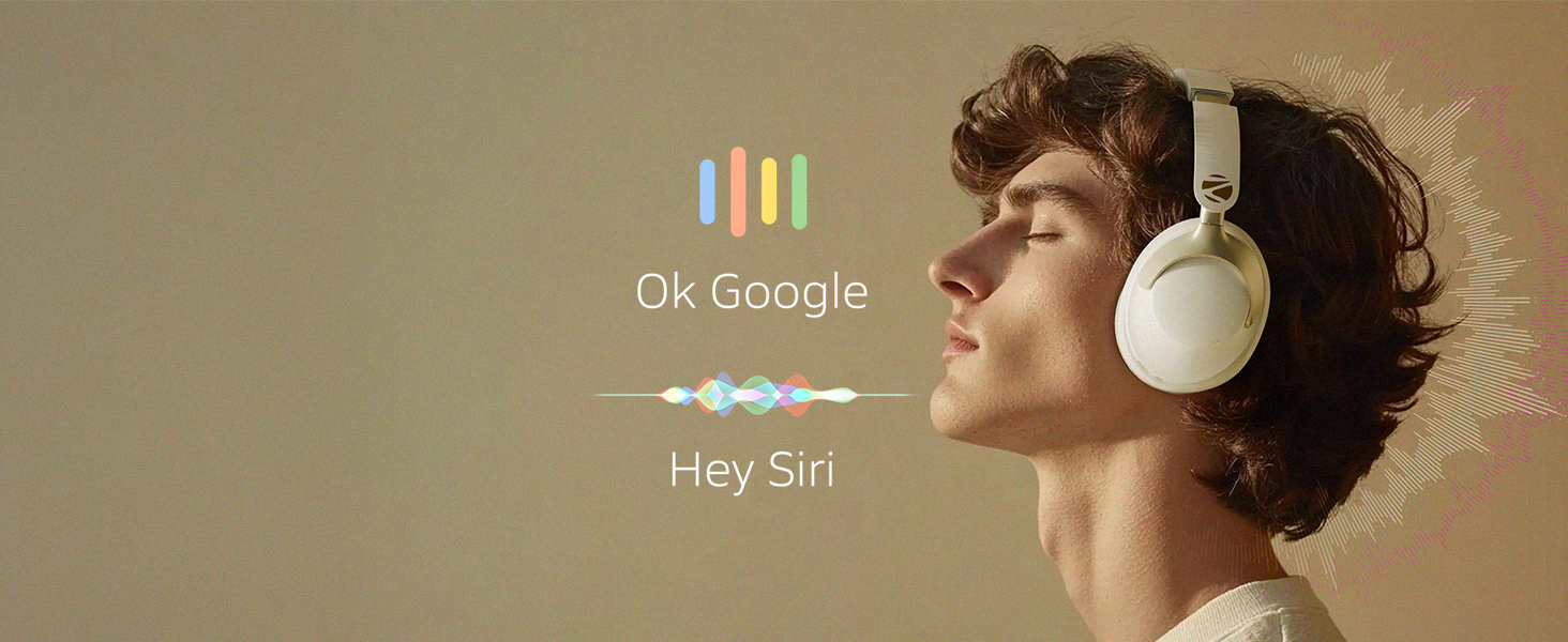 Voice Assistant