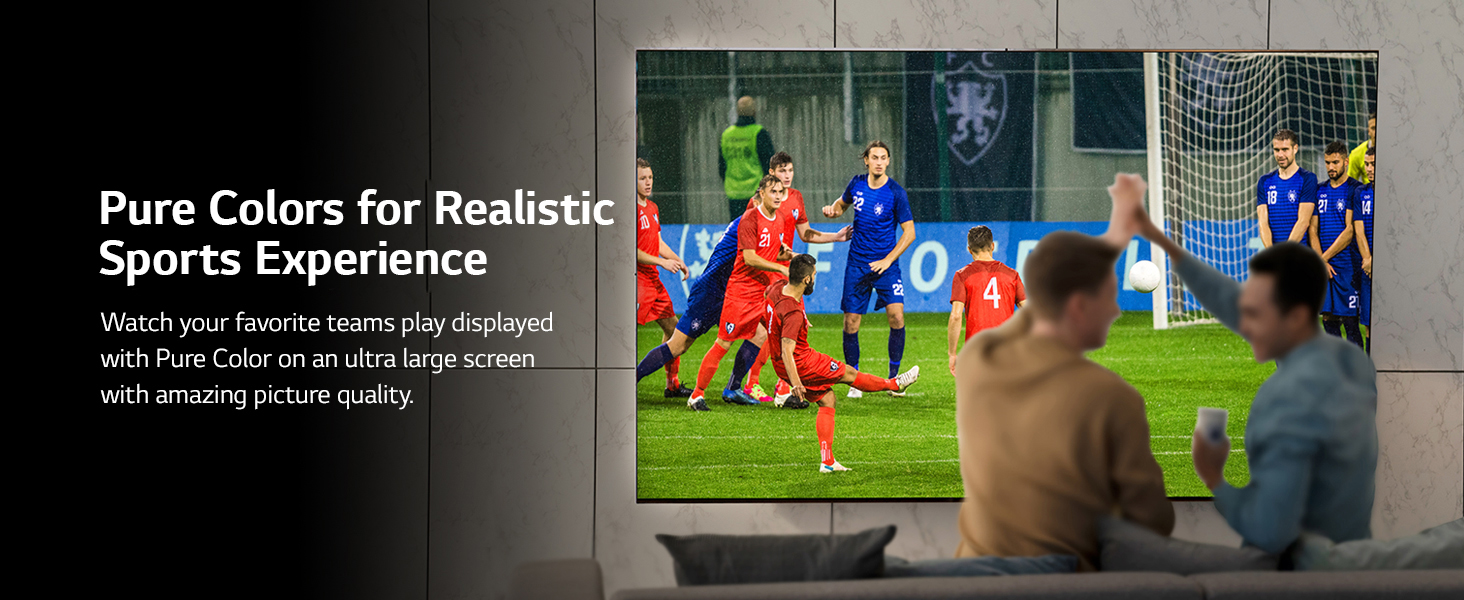 Pure Colors Realistic Sports Experience