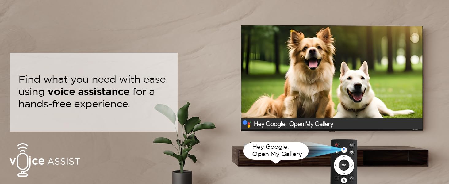 Voice Assistance