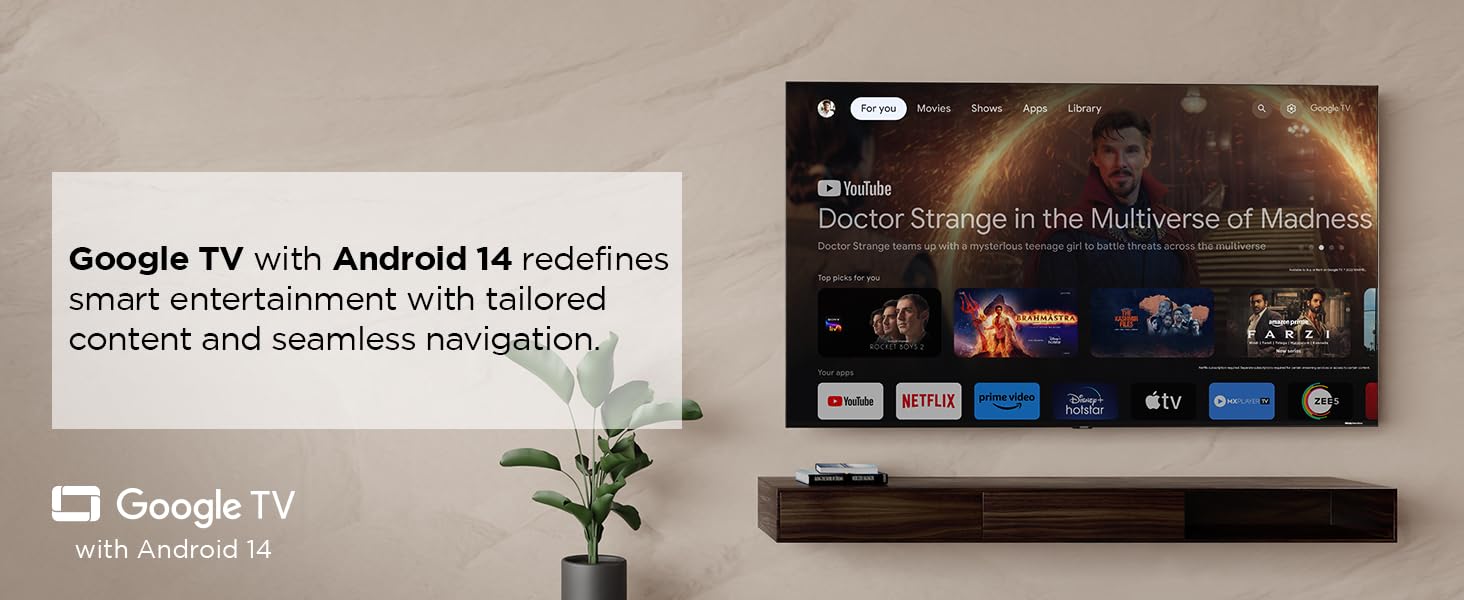 Google TV