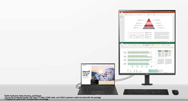 DualUp Monitor Set-up
