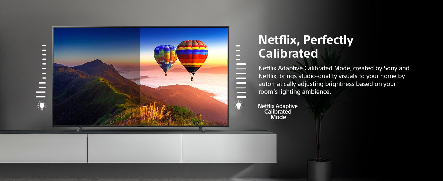 NETFLIX ADAPTIVE