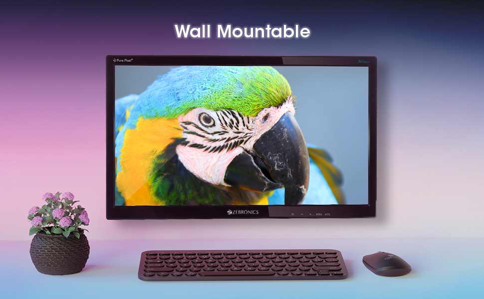 zebronics 19.5 inch monitor