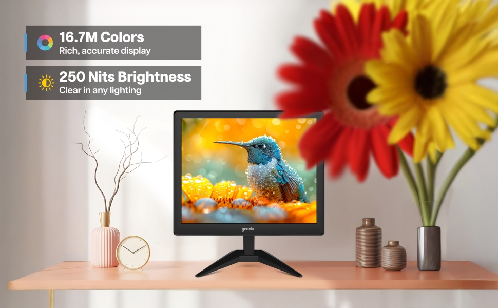 Color Test of Geonix Monitor 17 Inch