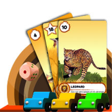 Gameplay Cards
