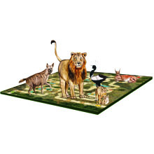 Board Game Illustration