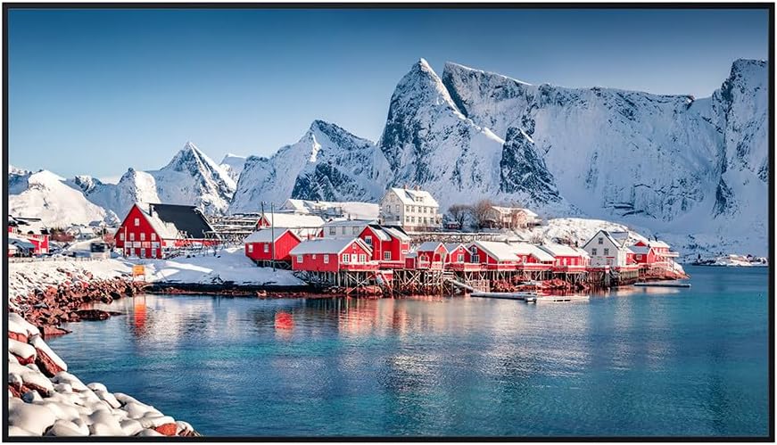 Panasonic 65-inch Class 4K UHD LCD Television Display