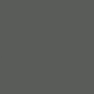 Savage Thunder Gray Seamless Background Paper 107 Inch Wide x 36 Foot Roll