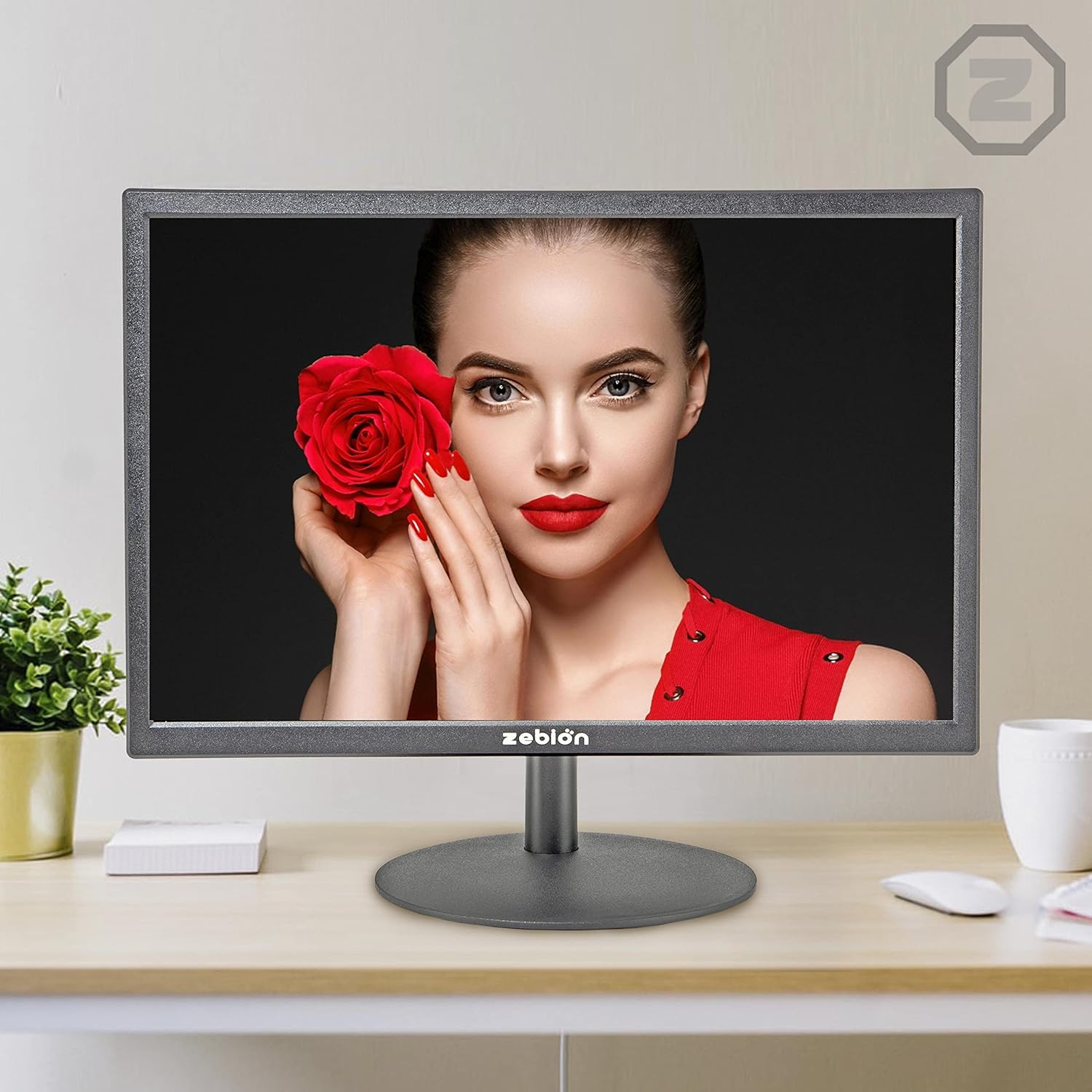 Zebion Enliven 18.5 Inch HD1 Ready Black LED Monitor