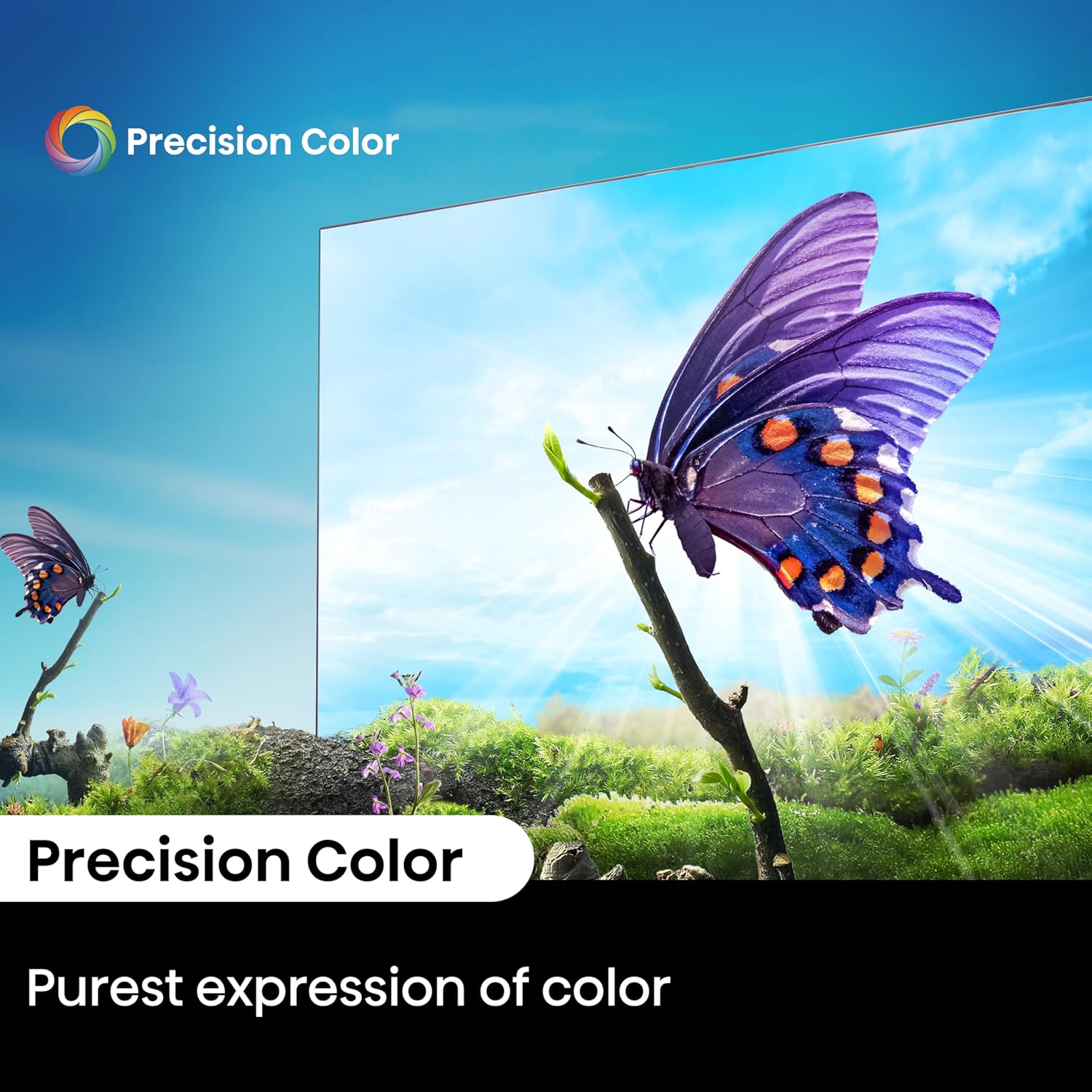 Hisense 85-Inch A6 Series 4K UHD Smart Roku TV, 2024 Model, Black, Dolby Vision HDR - Image 5
