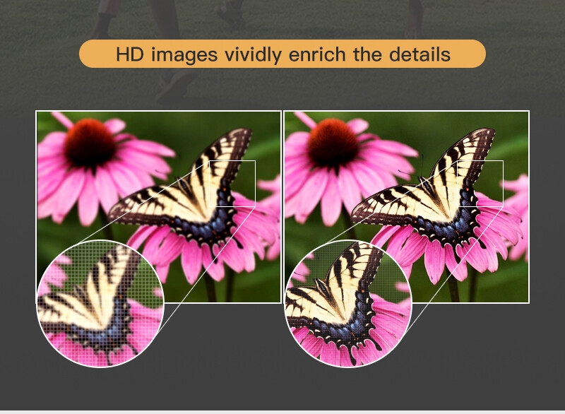 TV Image 2