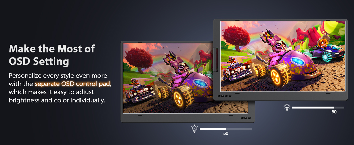Portable Monitor