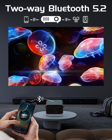Projector Image 4