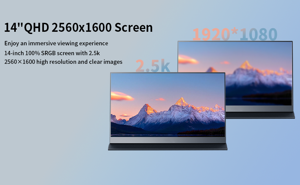 monitor
