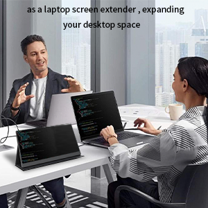 portable monitor for Laptop 