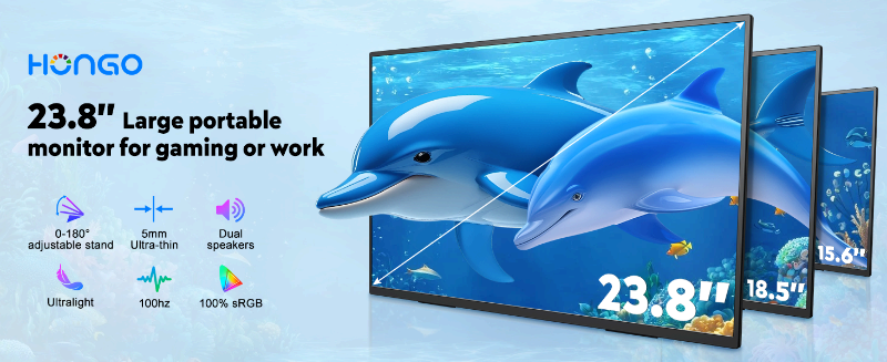 Large Portable Monitor Setup