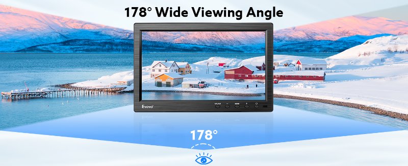 vga monitor