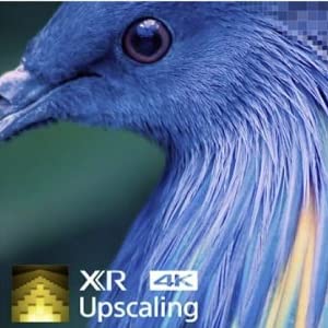 Recreating lost texture, all your content upscaled to 4K