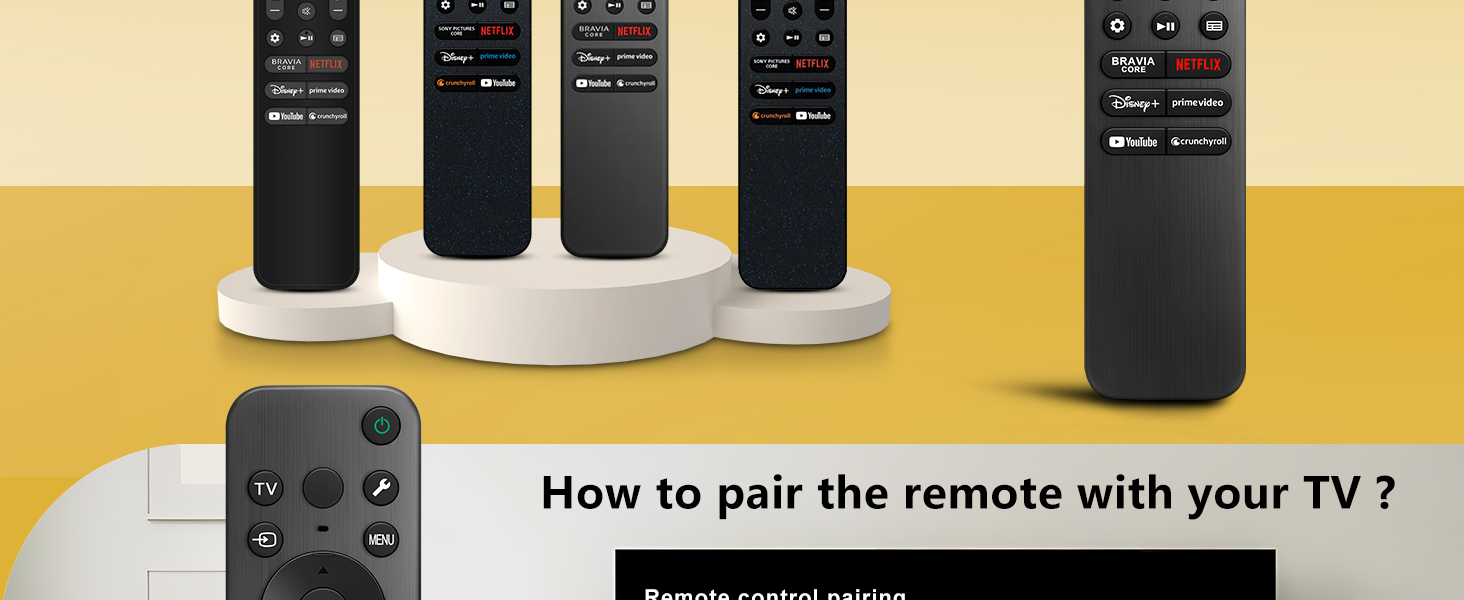 Sony TV Remote