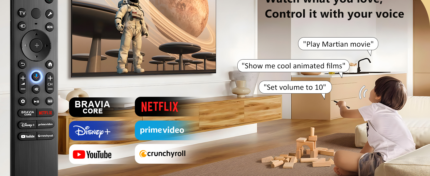 Sony TV Remote