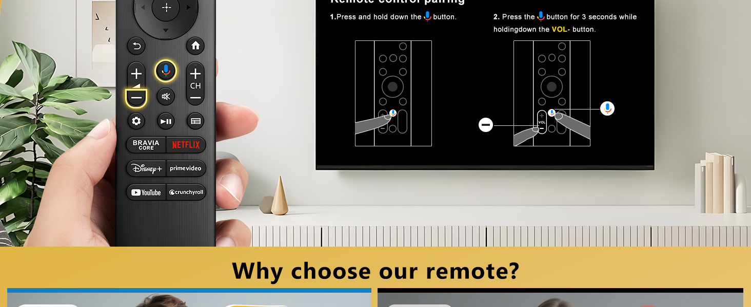 Sony TV Remote
