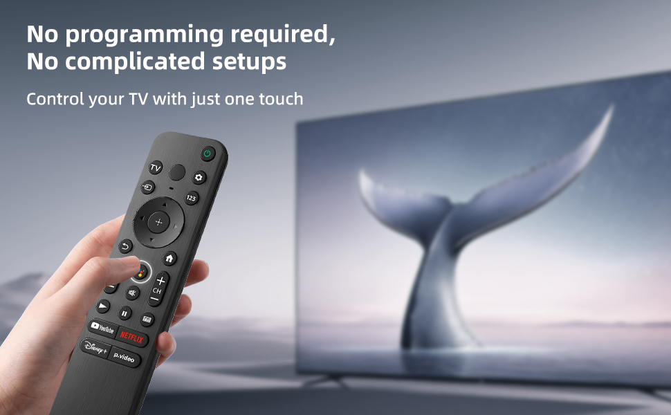 Universal Remote for Sony TV