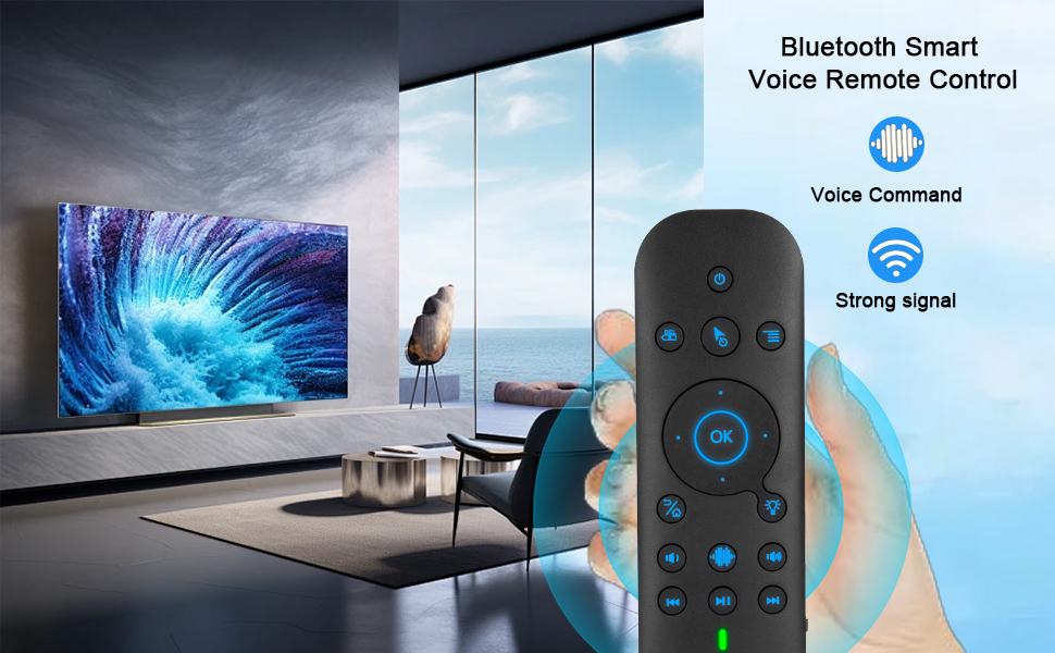 Voice Remote Control