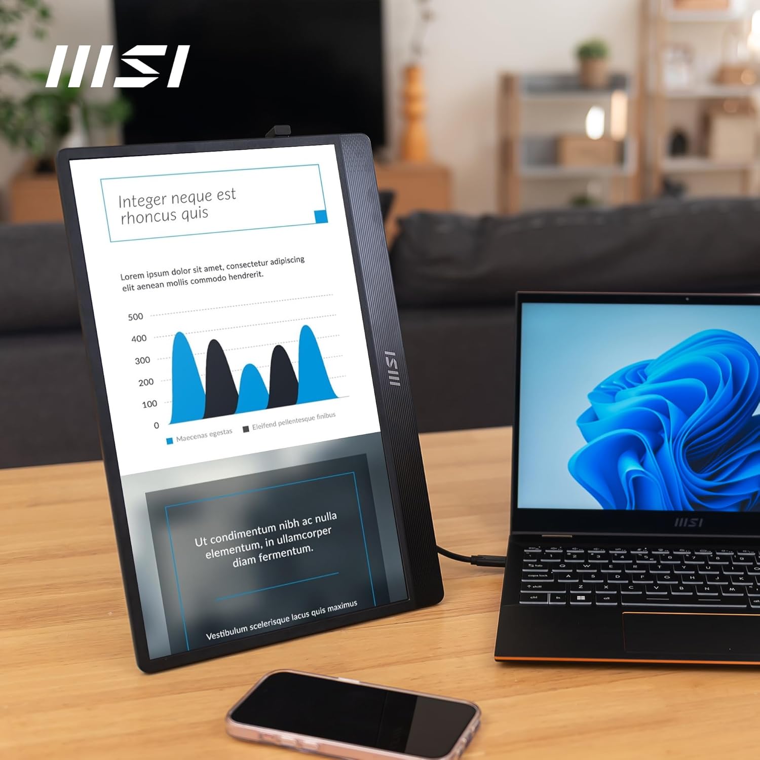 MSI Pro MP161 E2 Portable 15.6" FHD IPS 1080p Monitor USB-C Mini-HDMI Speakers Metal Gray - Image 7