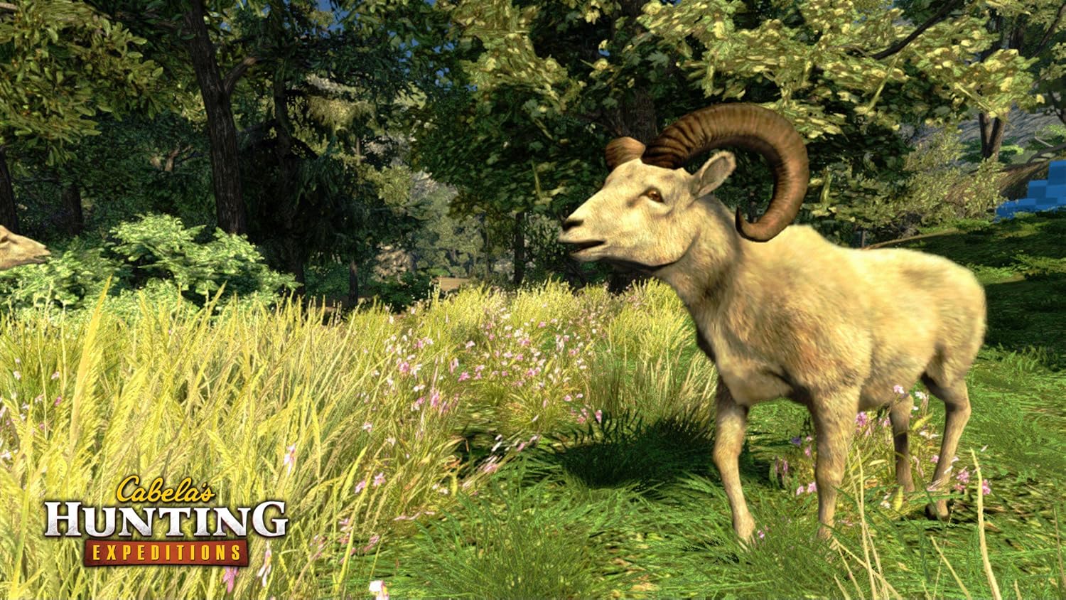 Cabela's Hunting Expeditions Playstation 3 Used Game - Image 4
