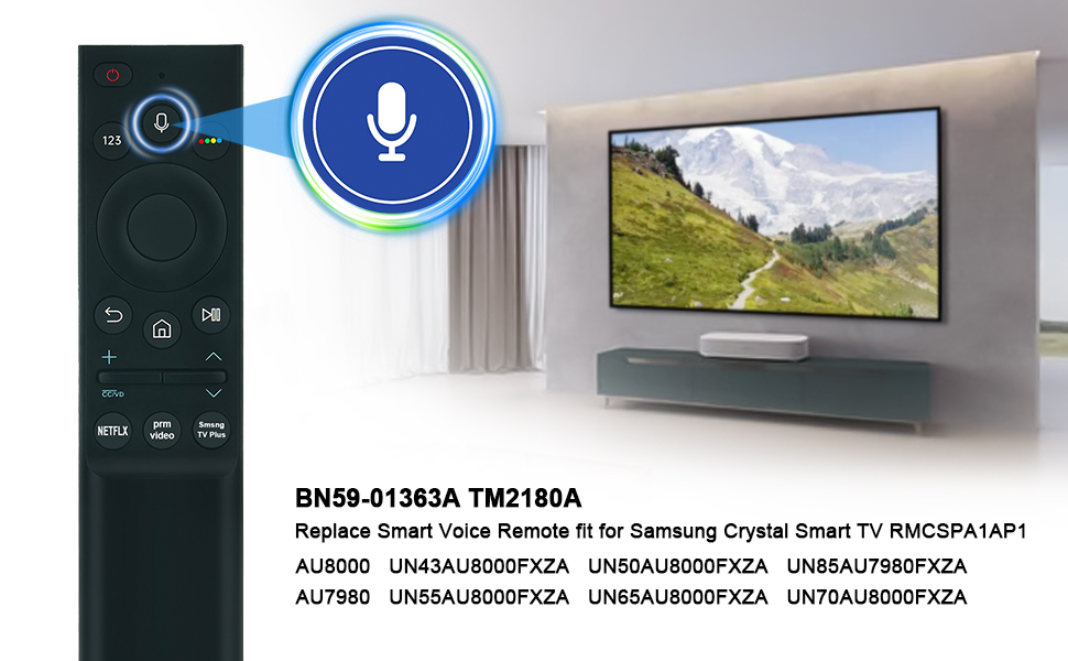 TM2180A