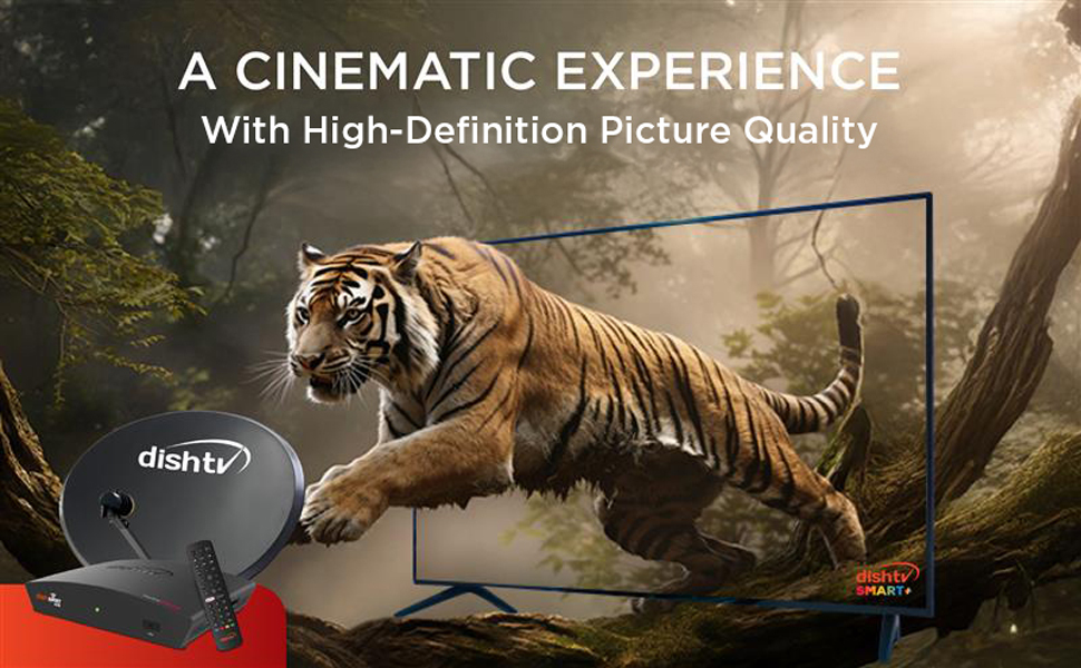 High-Definition Picture Quality