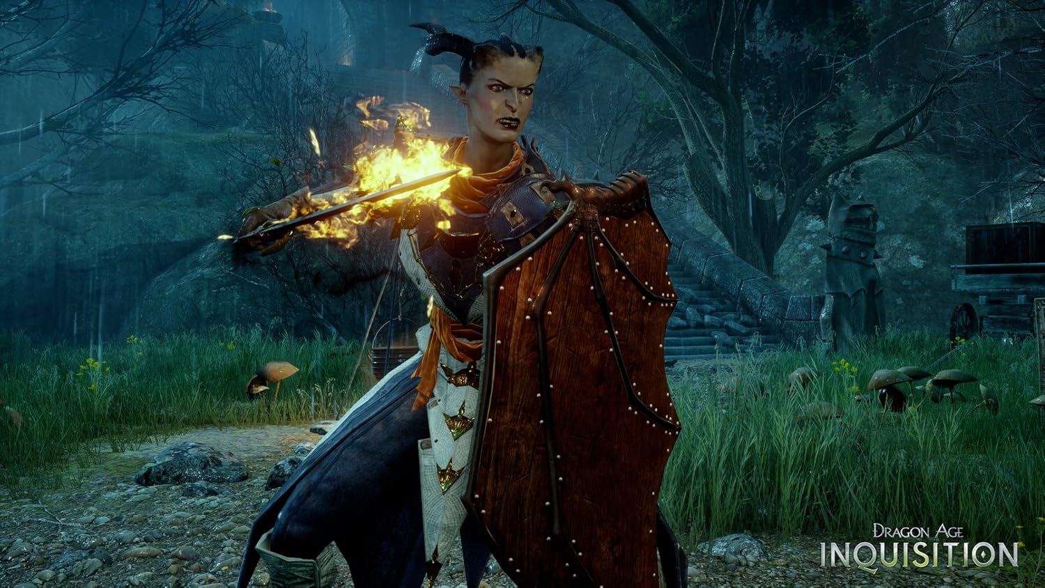 Dragon Age Inquisition Standard Edition for PlayStation 3 - Image 8